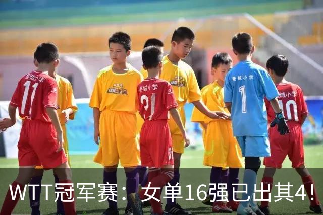 WTT冠军赛：女单16强已出其4！斯佐科斯轰3-0晋级迎战早田希娜